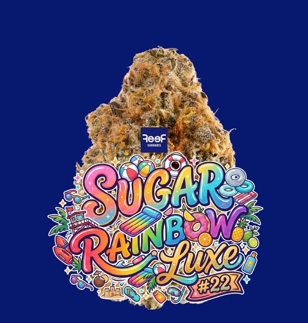 Sugar Rainbow Luxe 22 Whole Flower by REEF Cannabis