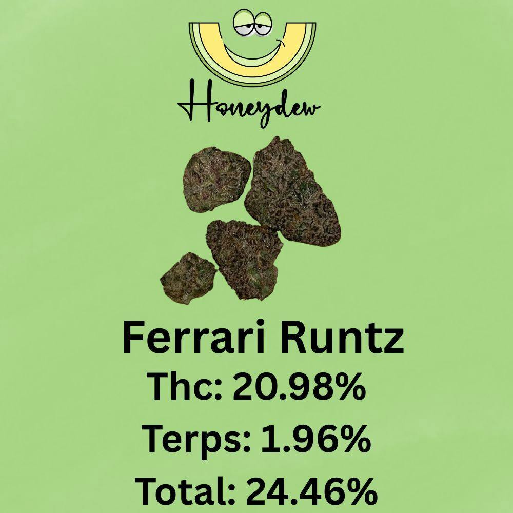 Ferrari Runtz