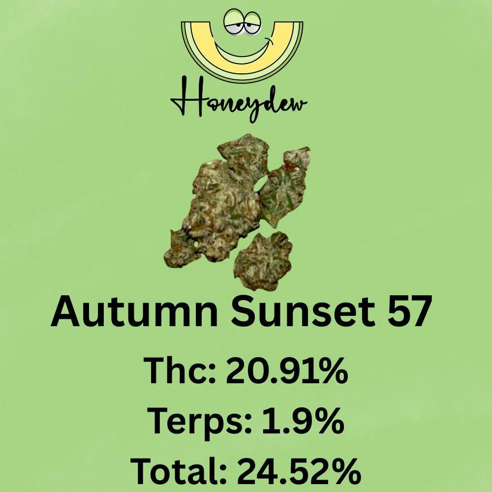 Autumn Sunset 57