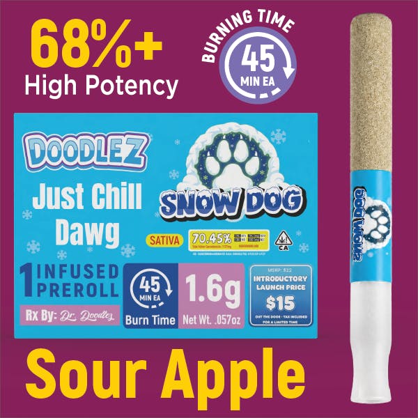 DOODLEZ: Super Snow Dog