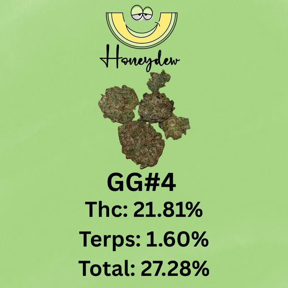 GG#4