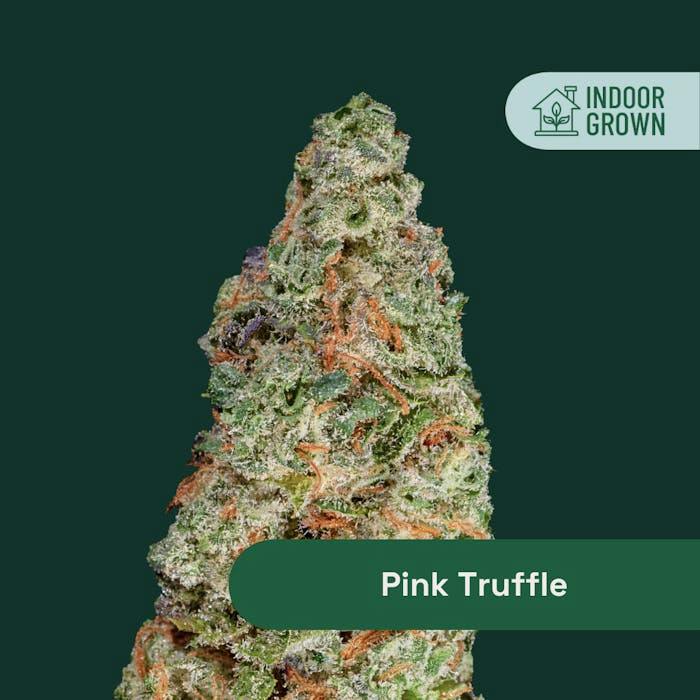 Pink Truffle | Flower | 14g by The Botanist