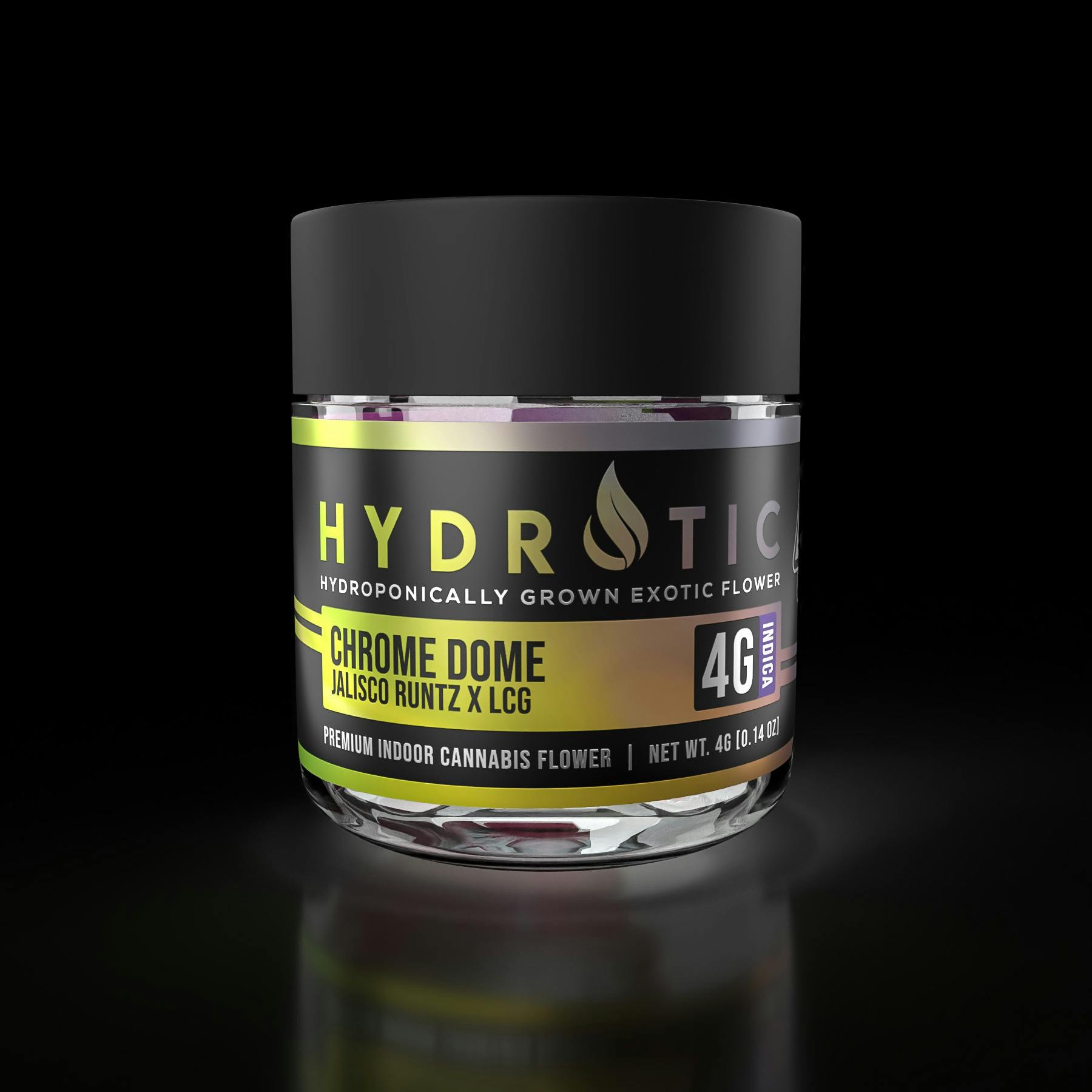 Hydrotic: Chrome Dome