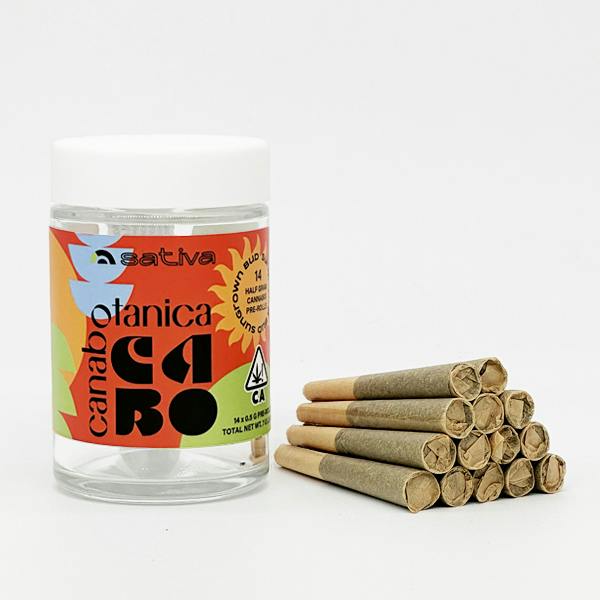 Blueberry Dream - 14pk - Sungrown Pre-Roll - 7g