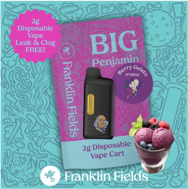 Franklin Fields Big Ben 2G Disposable Vape Berry Gelato by Franklin Fields