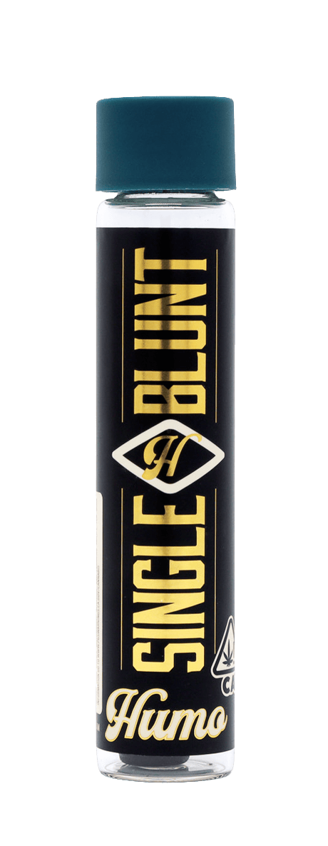 Corp Baja Gold