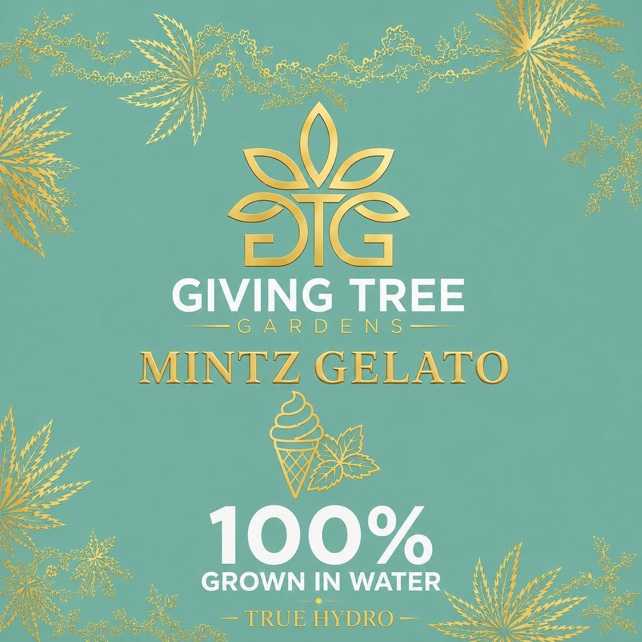 Mintz Gelato – Deli Flower | 100% WATER GROWN • TRUE HYDRO