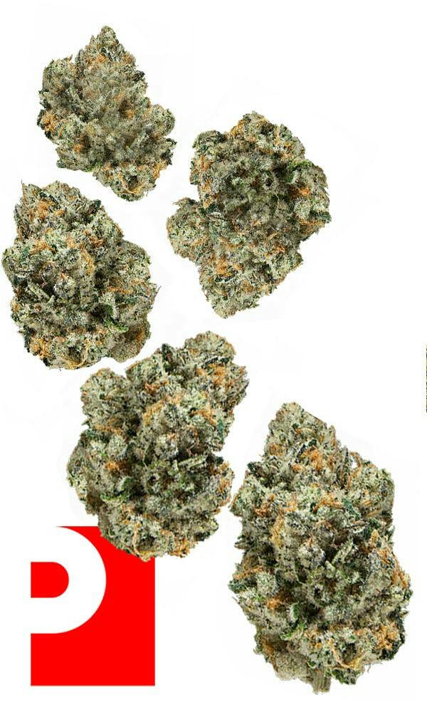 Lazer Gun | Smalls Bag | 7g by Preferred Gardens
