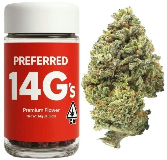 Preferred Gardens: 707 Headband
