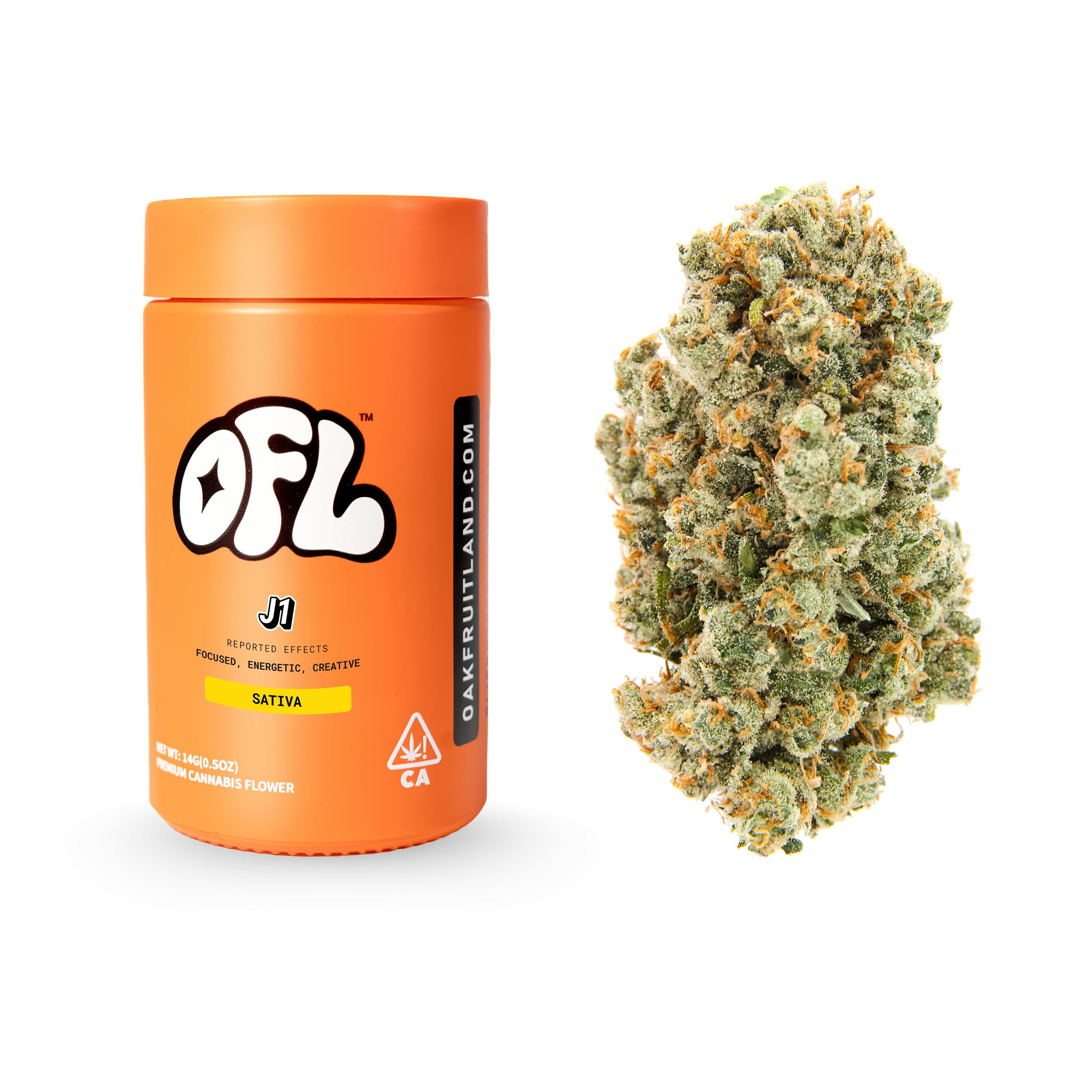 Oakfruitland (OFL): Skunk #1