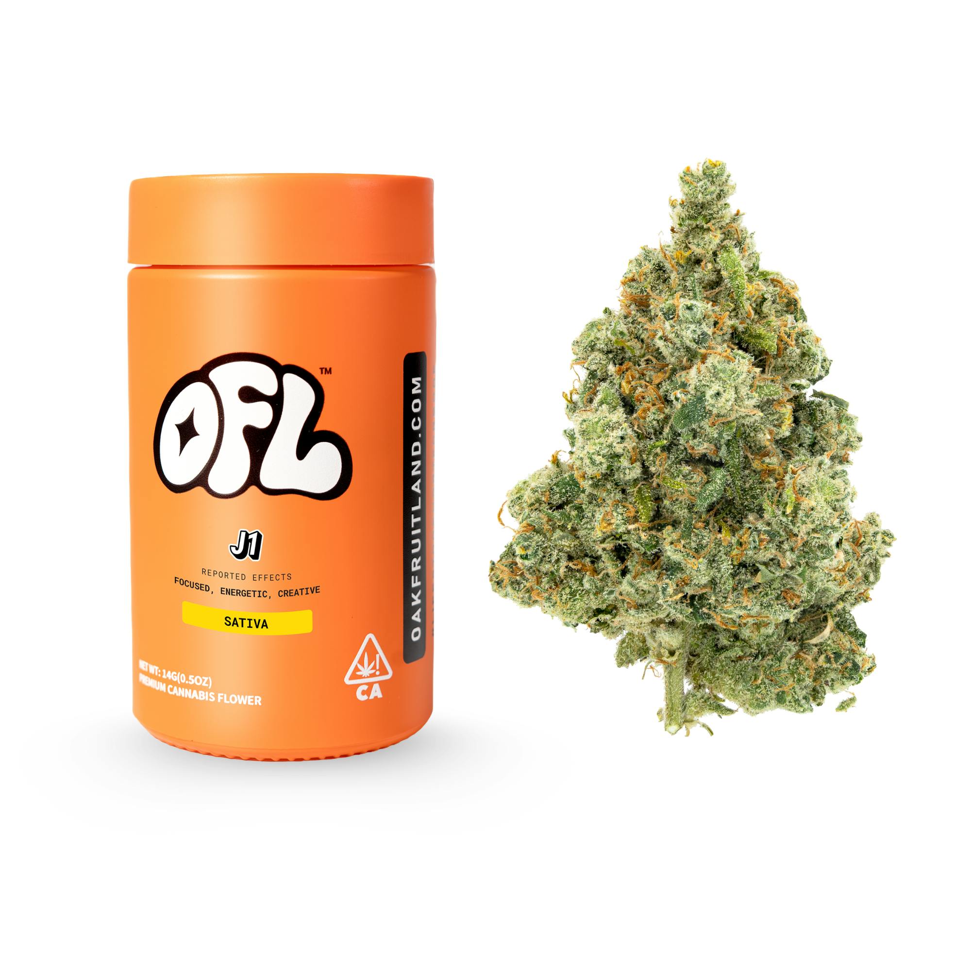 J1 | Big Buds Jar | 14g