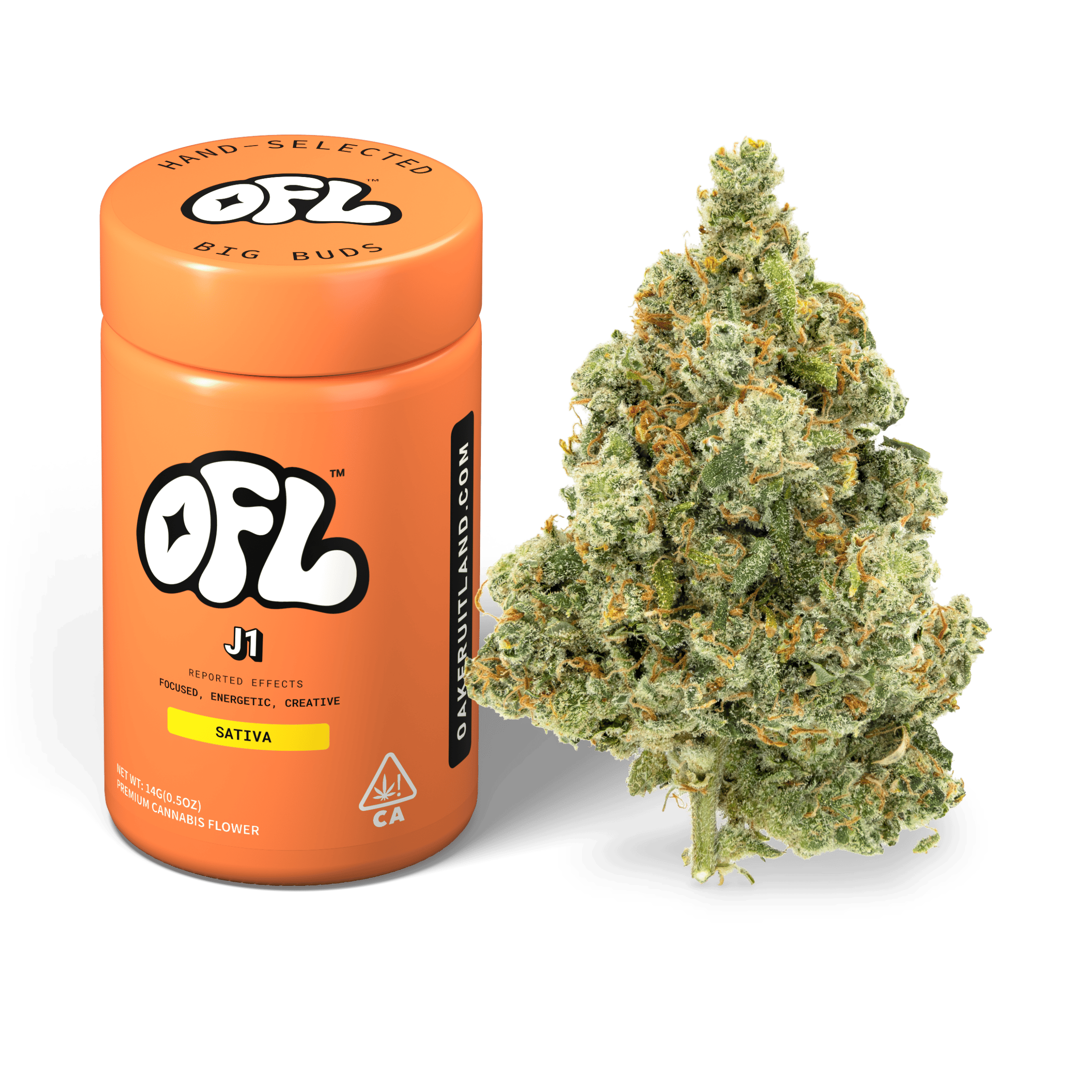 J1 | Big Buds Jar | 14g