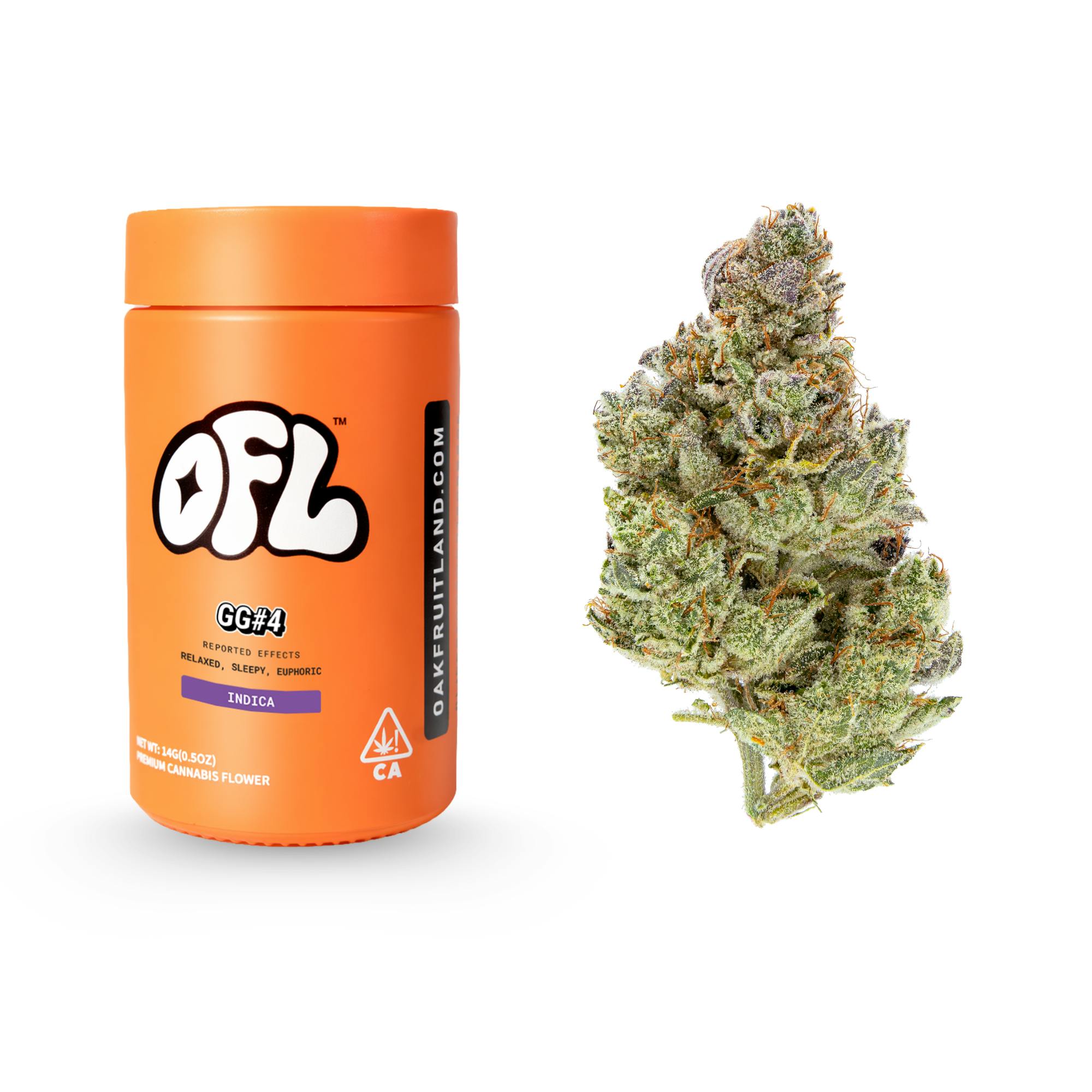 GG#4 | Big Buds Jar | 14g