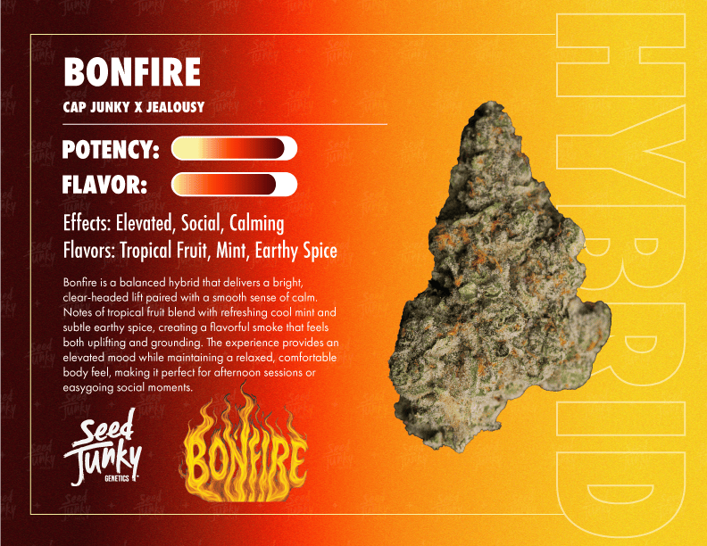 Bonfire | Big Buds | 7g