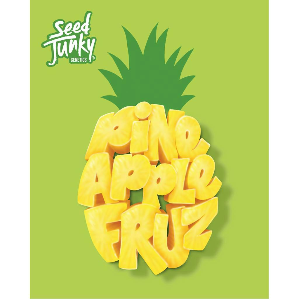 Pineapple Fruz | Big Buds | 7g