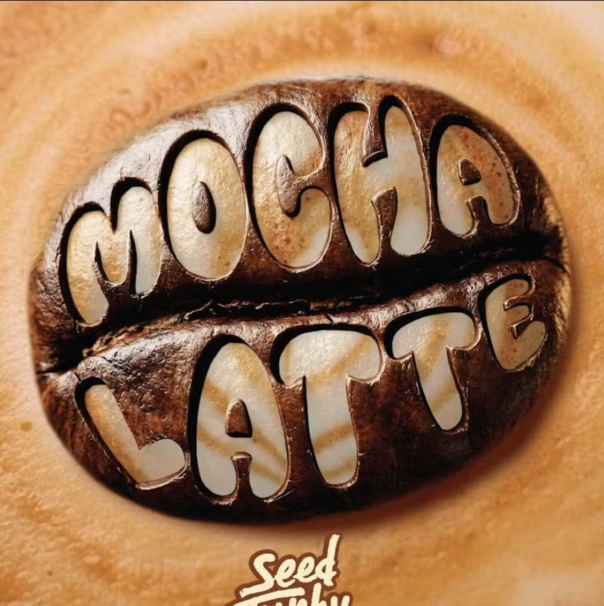Mocha Latte | Buds by Seed Junky