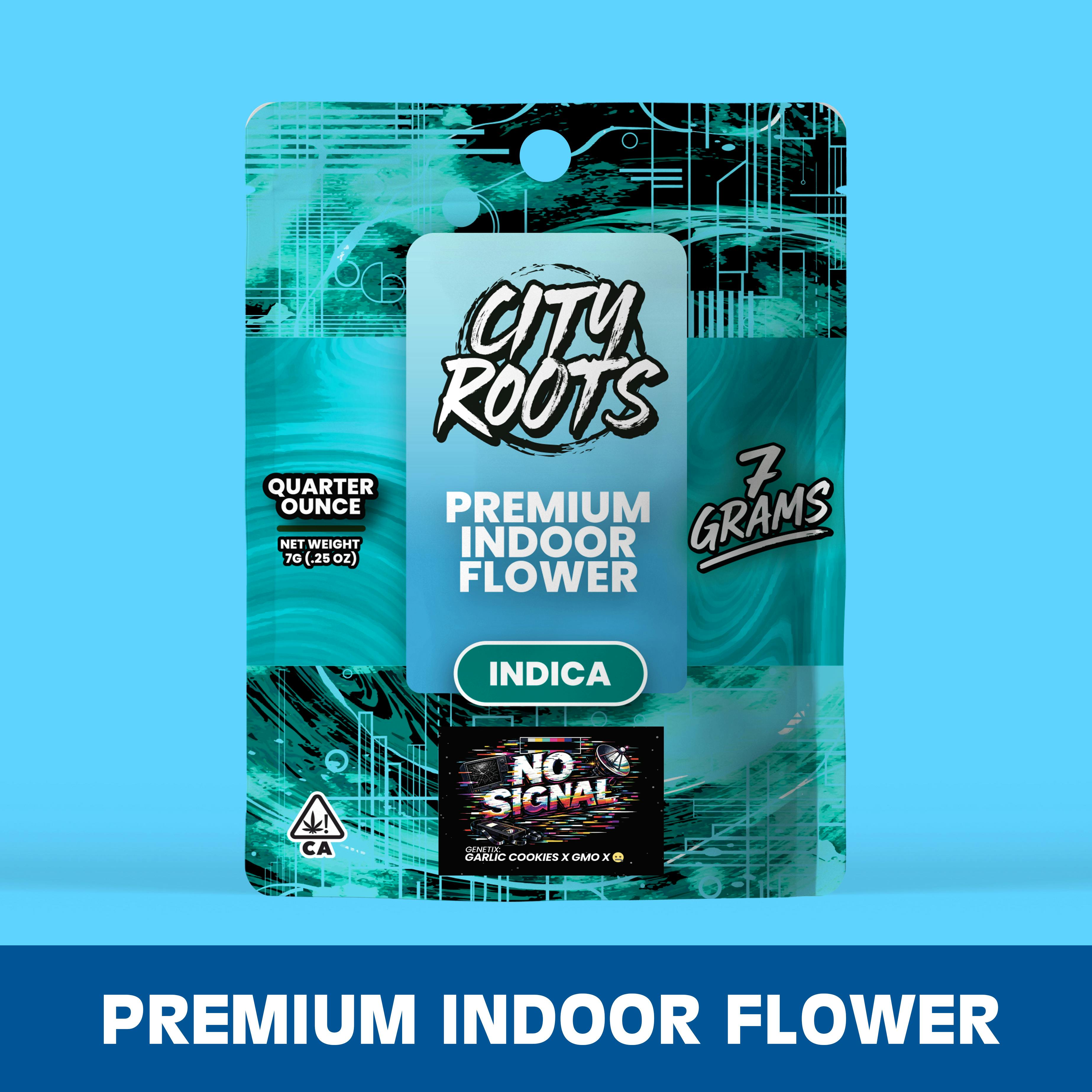 City Roots: No Signal