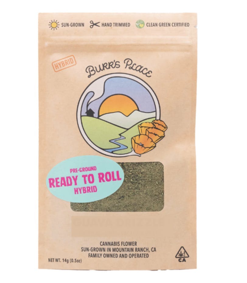 Jelly Donutz | Ground | 14g by Burr's Place