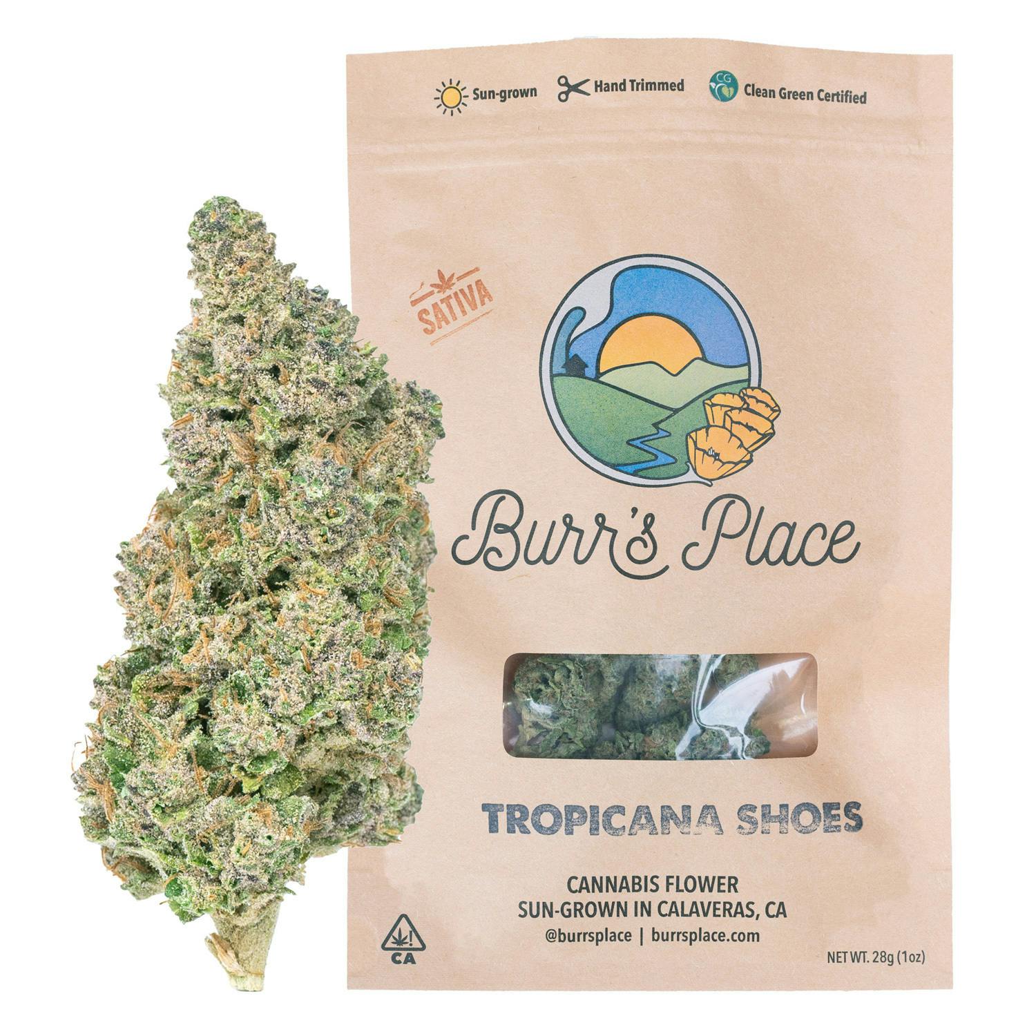 Burr's Place: Triploid OG
