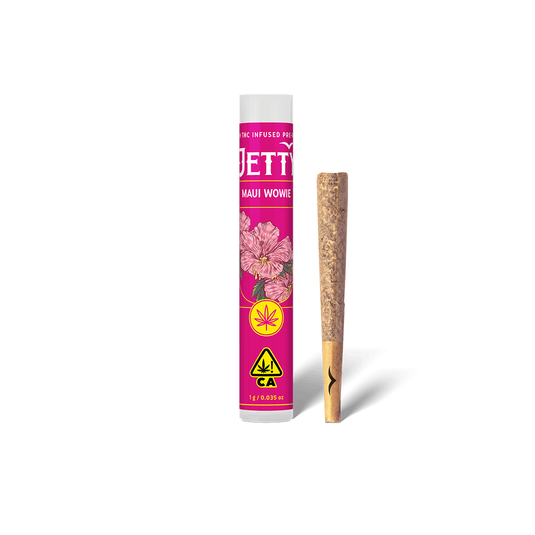 Northern Lights x Triangle GMO | Infused Joint | 1g