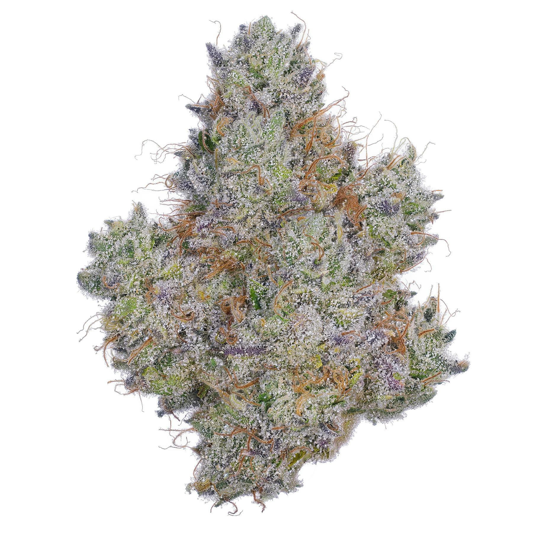 Fig Farms: Hijinx