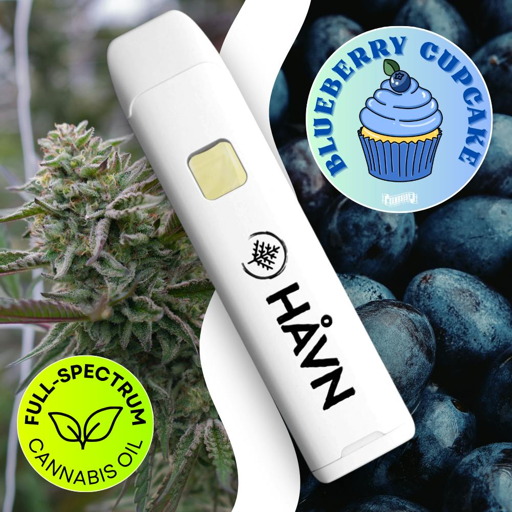 Blueberry Cupcake | Full Spectrum Disposable | 1g