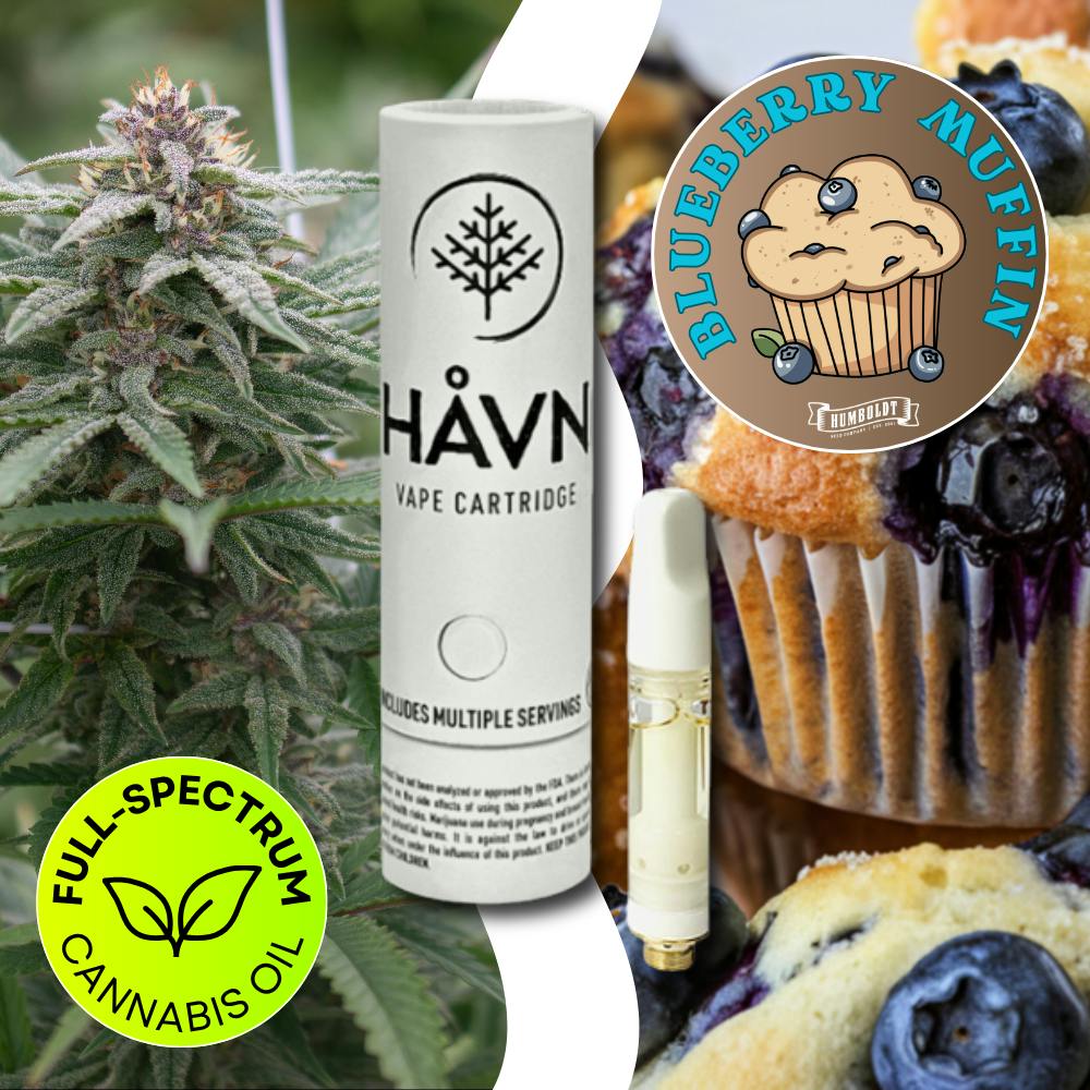 Blueberry Muffin | Full Spectrum Cartridge | 1g by HAVN