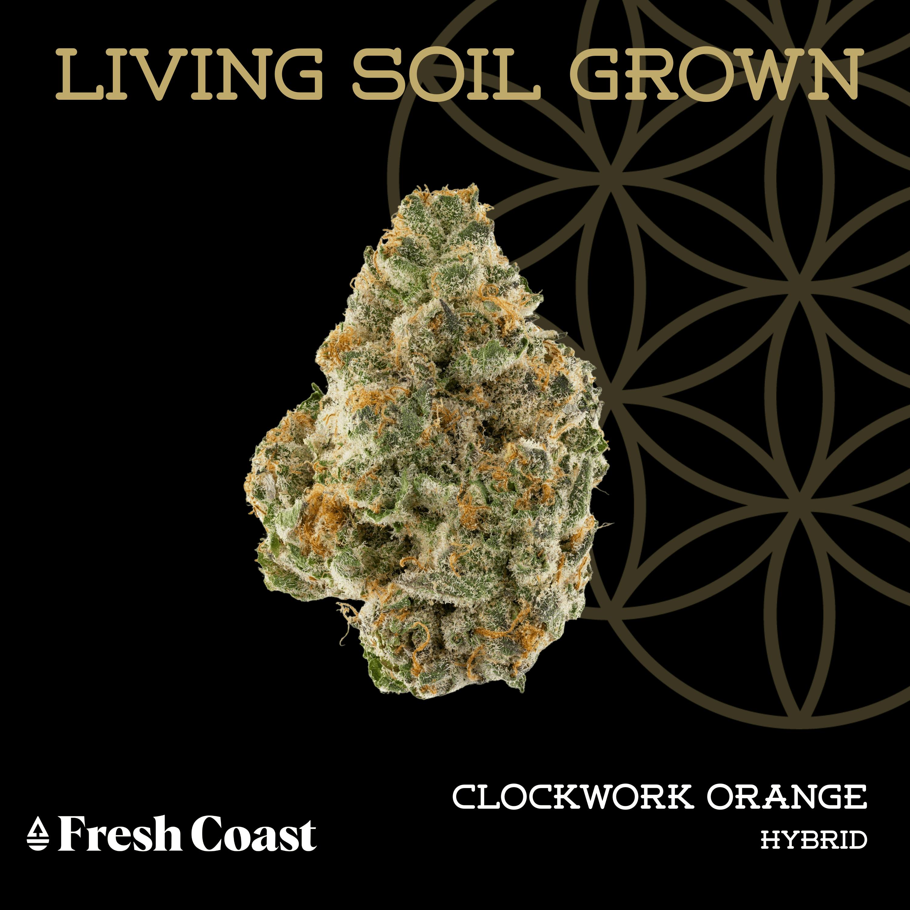 Clockwork Orange | Bulk Deli | Living Soil by Flower of Life