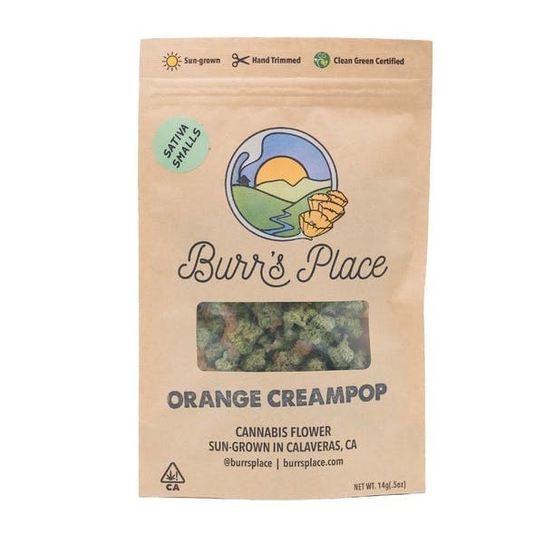 Burr's Place — Orange Cream Pop