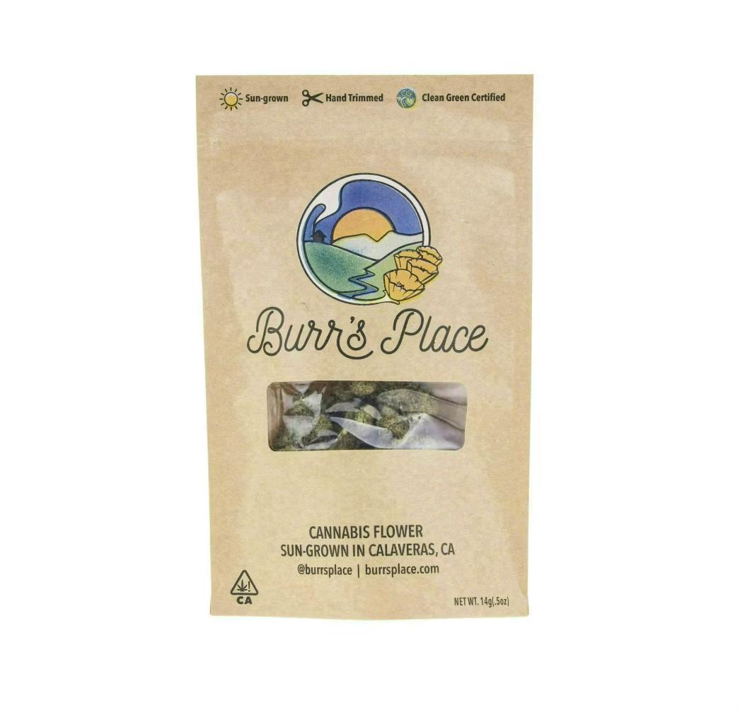 Burr's Place — Tropicana Shoes