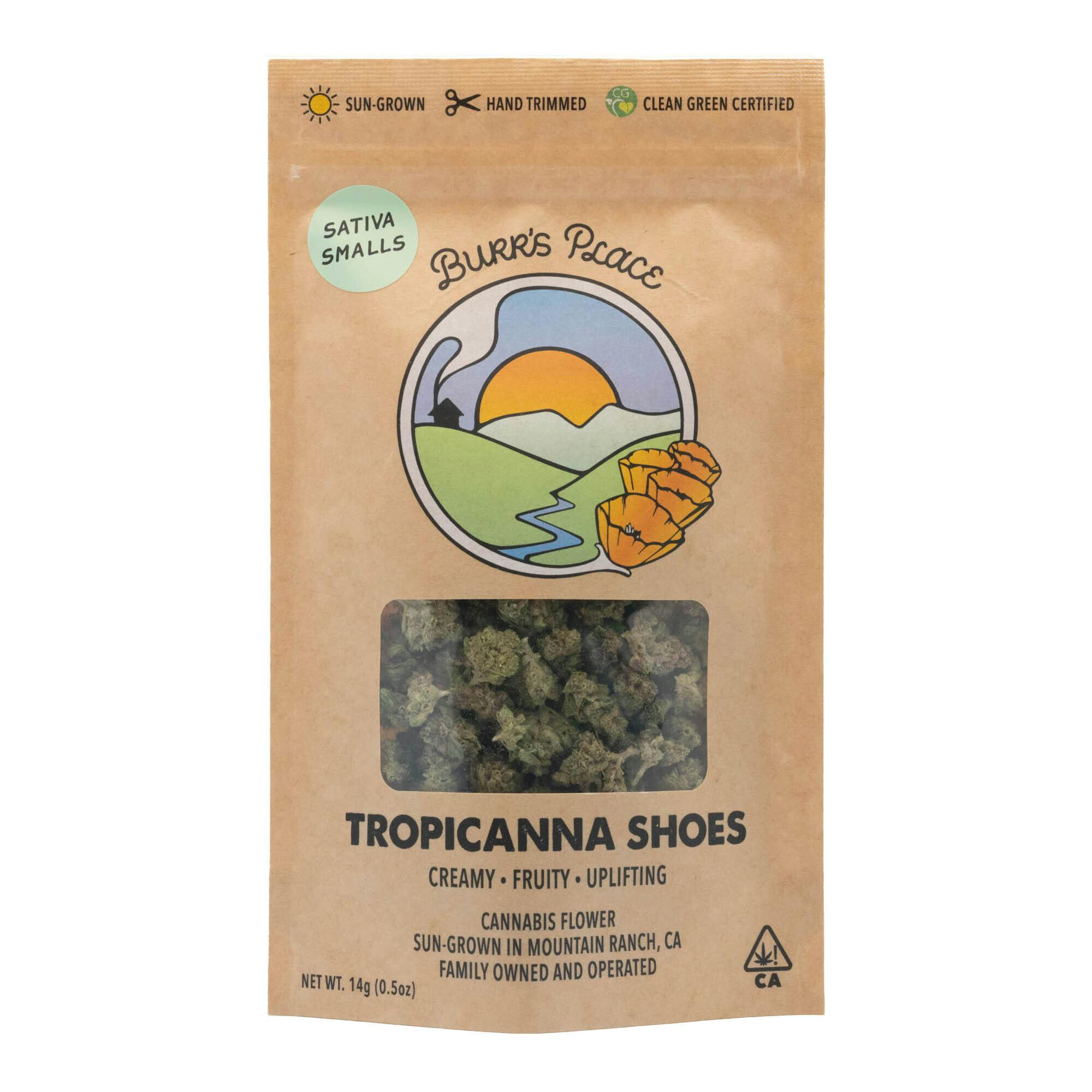 Burr's Place — Tropicana Shoes