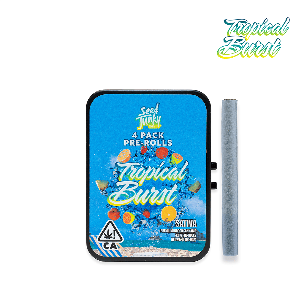 Tropical Burst | Joints | 1g each | 4pk