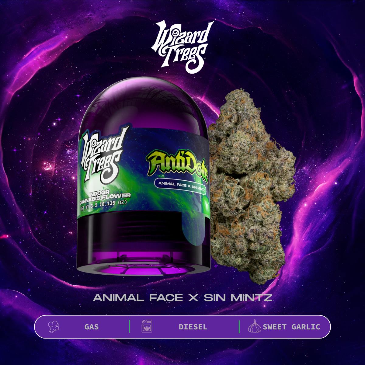 Antidote | Indoor Flower | 3.5g