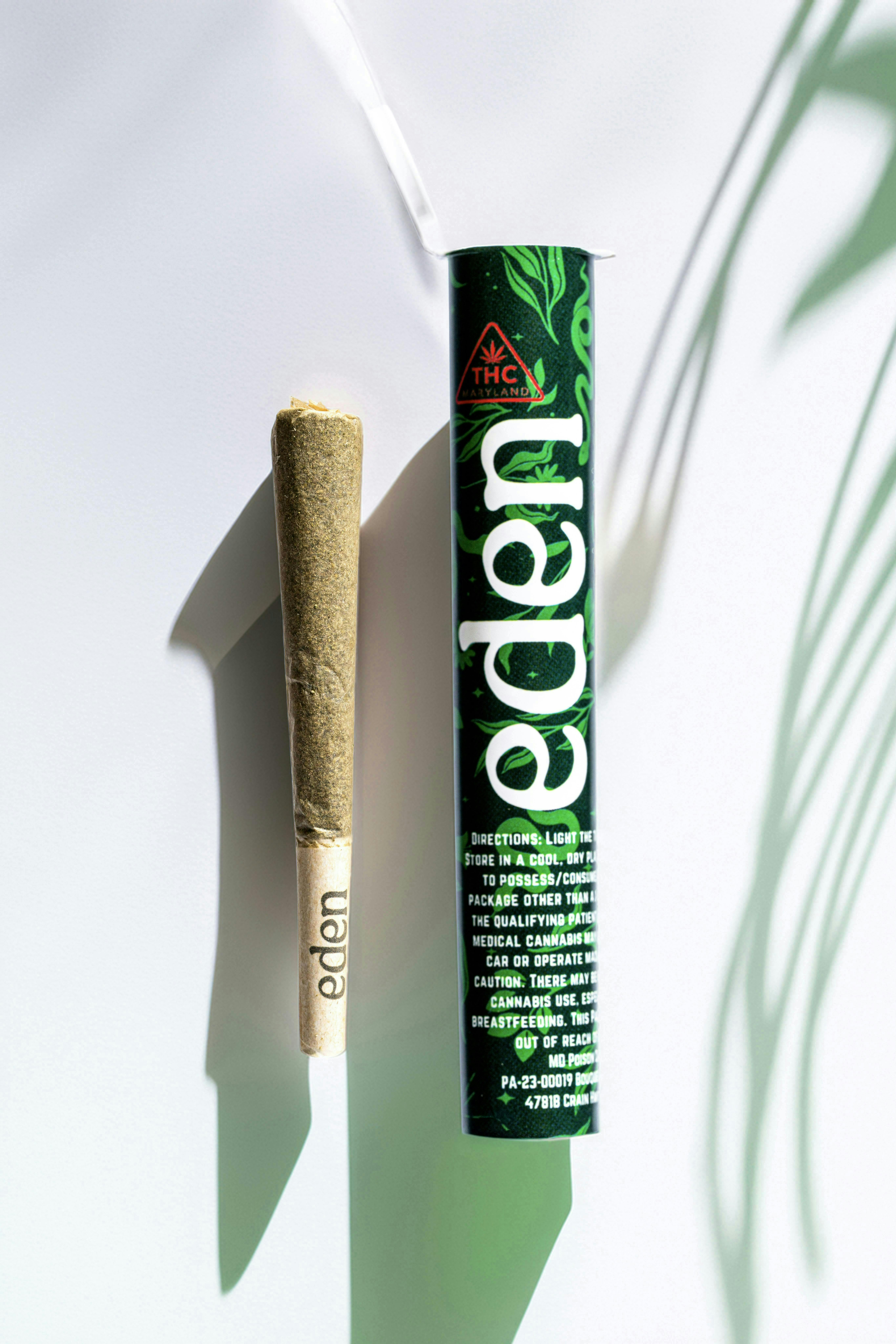 Baker Mintz | Infused Joint | 1g