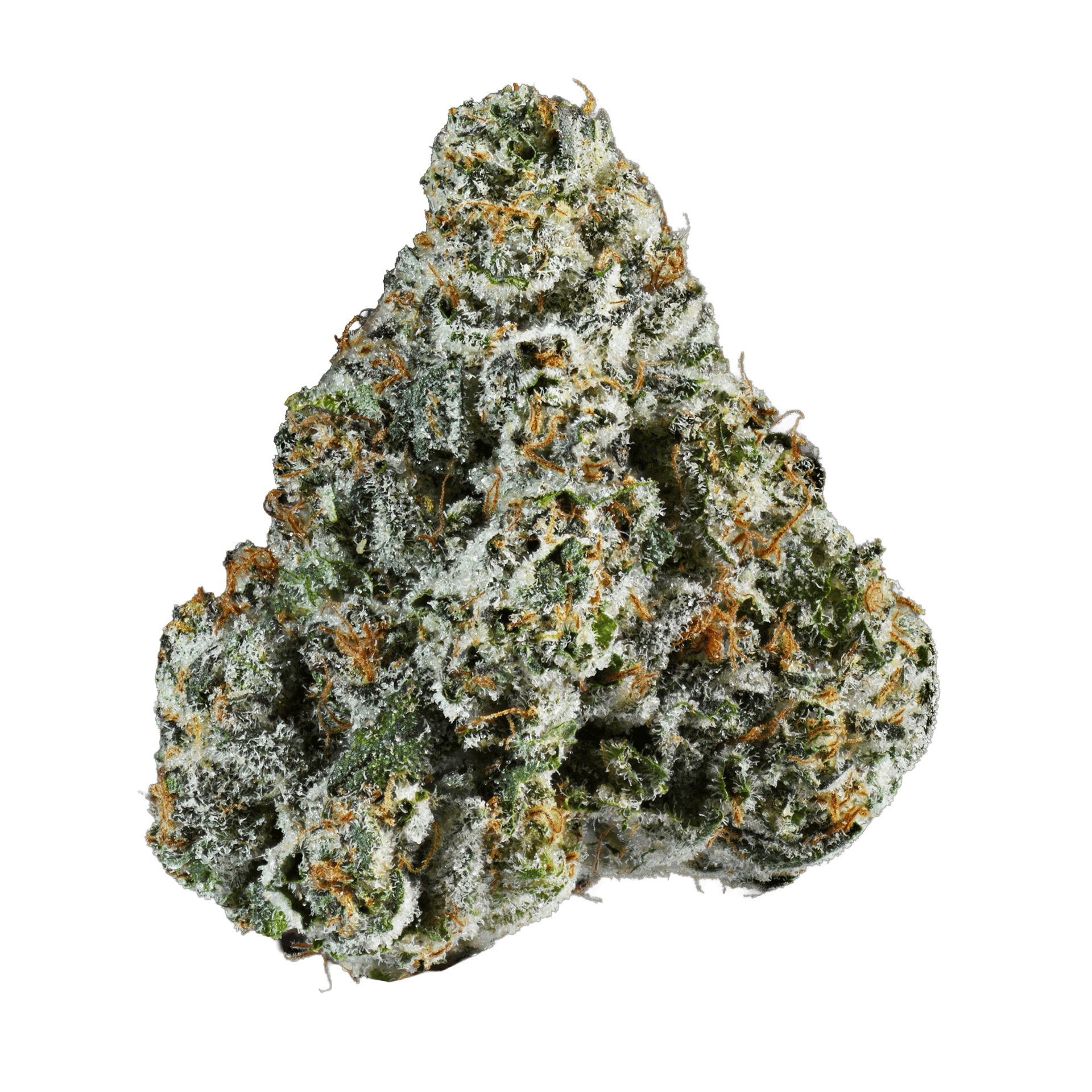 Habibi OG | Big Buds | 10g by Connected Cannabis Co.
