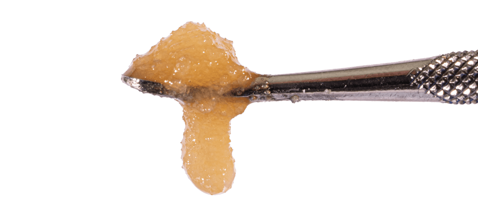 NV Dulce De Uva | Live Sugar | 1g