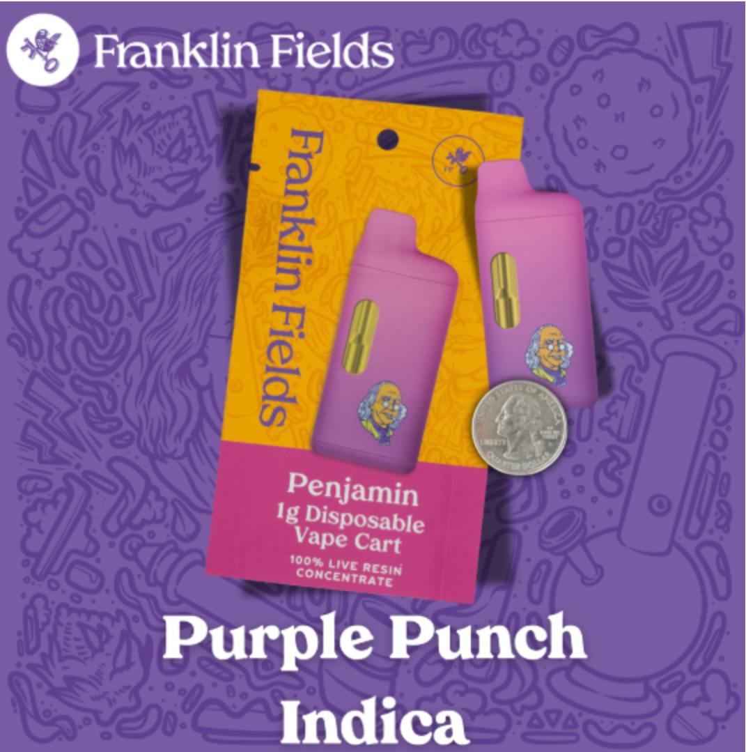 Franklin Fields Penjamin Purple Punch 1G Live Resin Disposable Vape by Franklin Fields