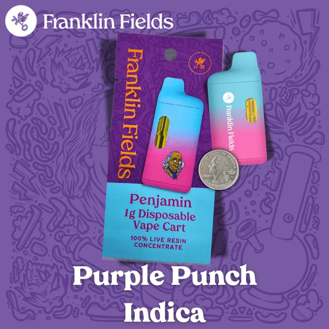 Franklin Fields Penjamin Purple Punch 1G Live Resin Disposable Vape