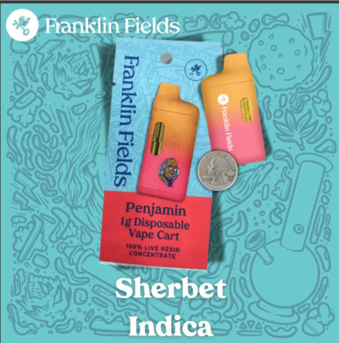 Franklin Fields Penjamin Sherbet 1G Live Resin Disposable Vape by Franklin Fields