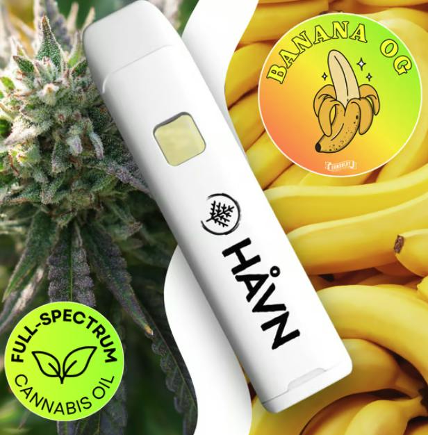 Banana OG | Full Spectrum Disposable | 1g by HAVN