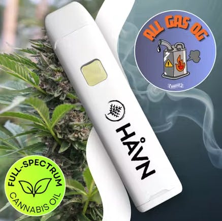 All Gas OG | Full Spectrum Disposable | 1g by HAVN