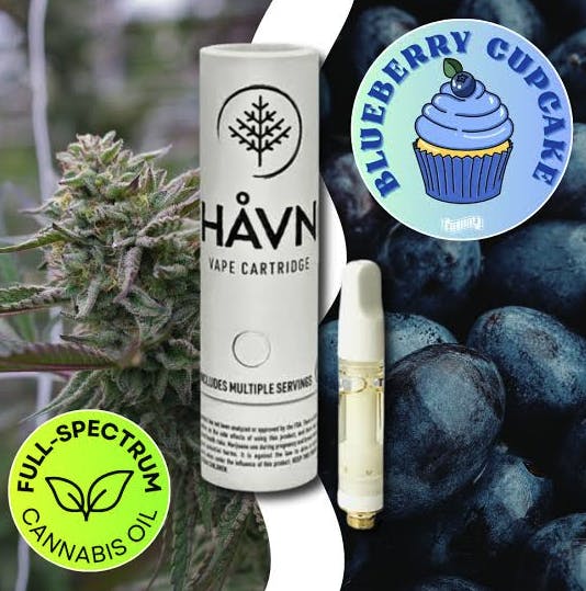 Blueberry Cupcake | Full Sprectrum Cartridge | 1g by HAVN