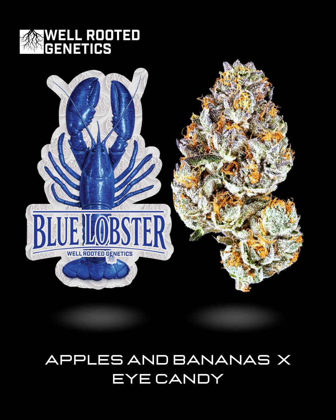 Blue Lobster