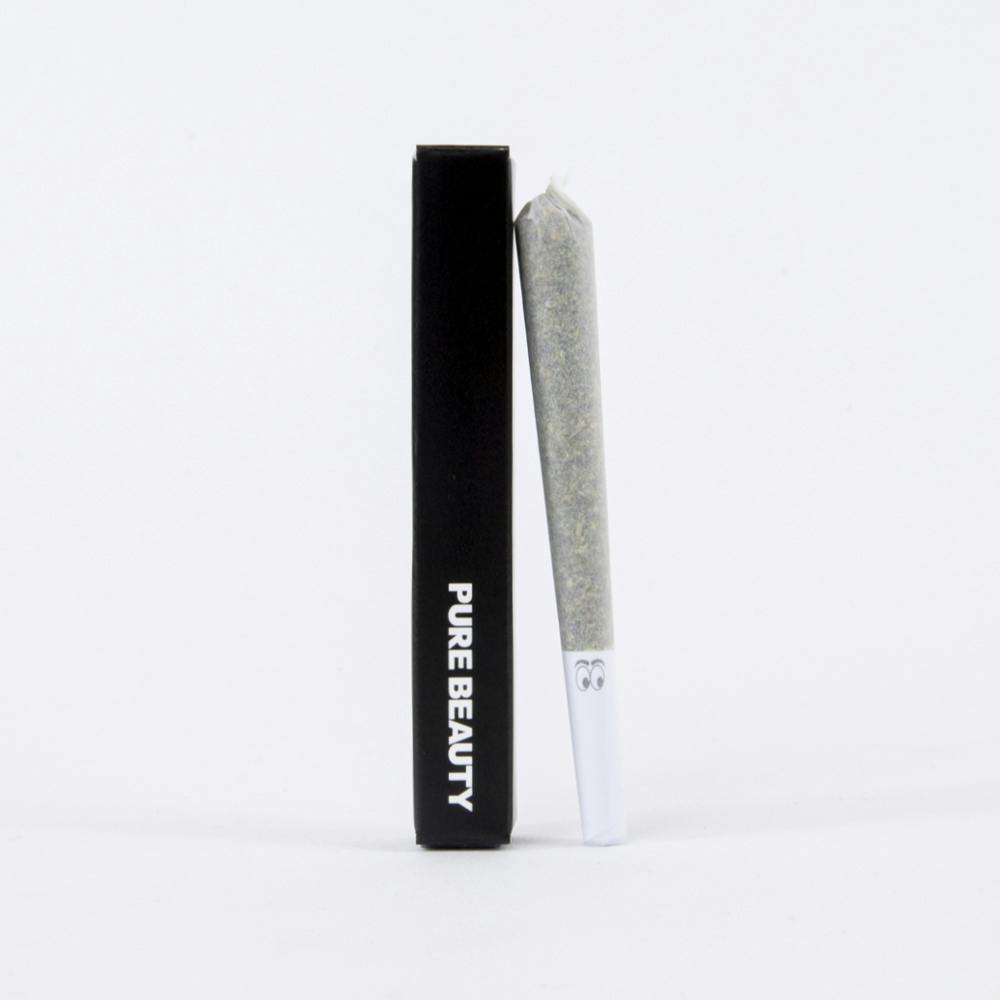 Apple Strudel | Single (1g) Pre-Roll | 100% Indoor Flower