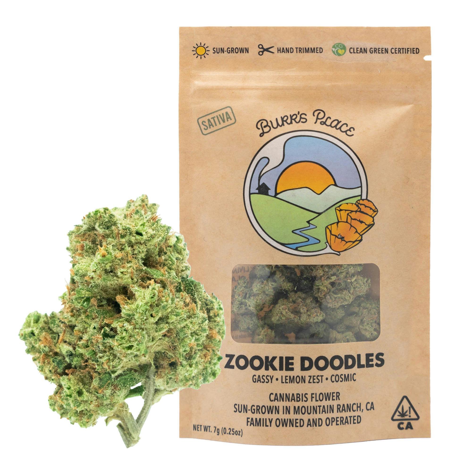 Burr's Place: Zookie Doodles