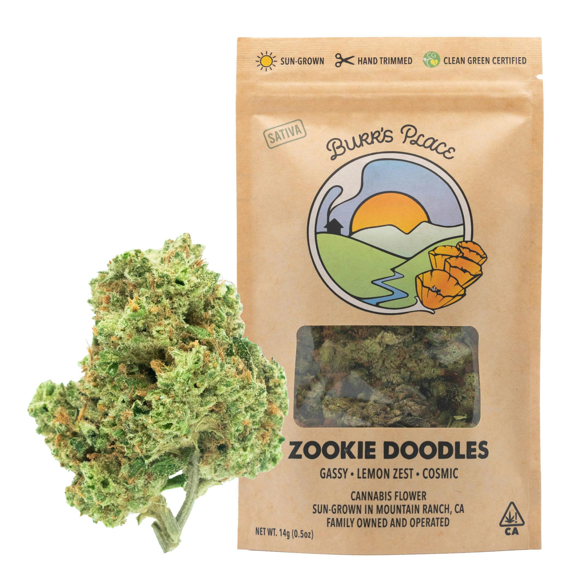 Zookie Doodles | Big Buds | 14g by Burr's Place
