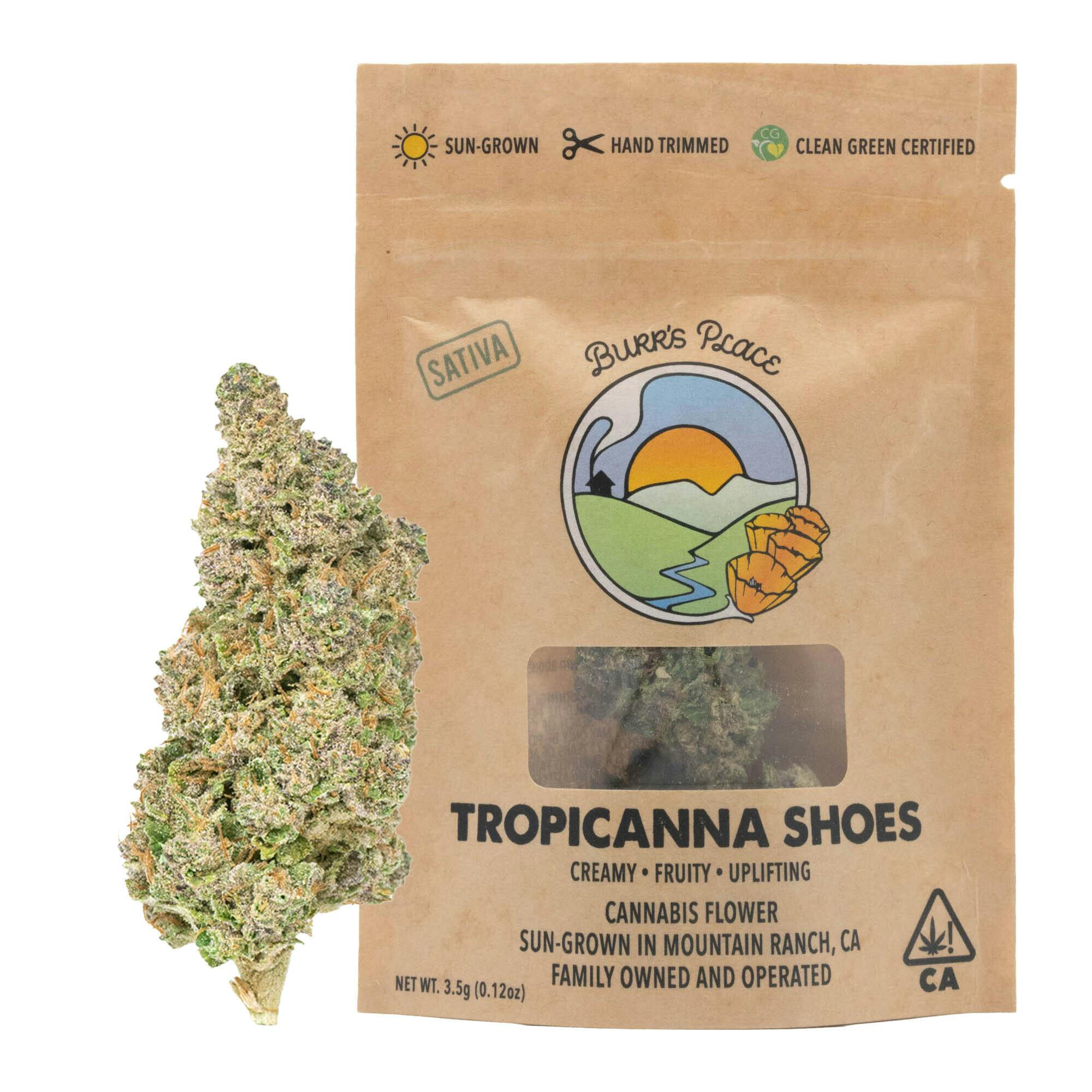 Burr's Place: Tropicanna Shoes