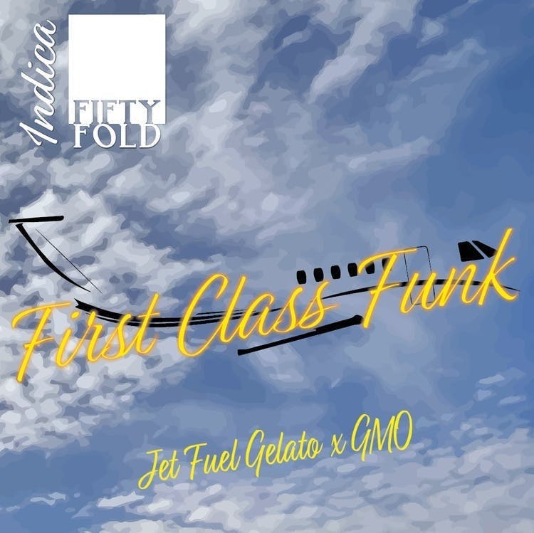 First Class Funk | Big Buds | 3.5g by Fifty Fold