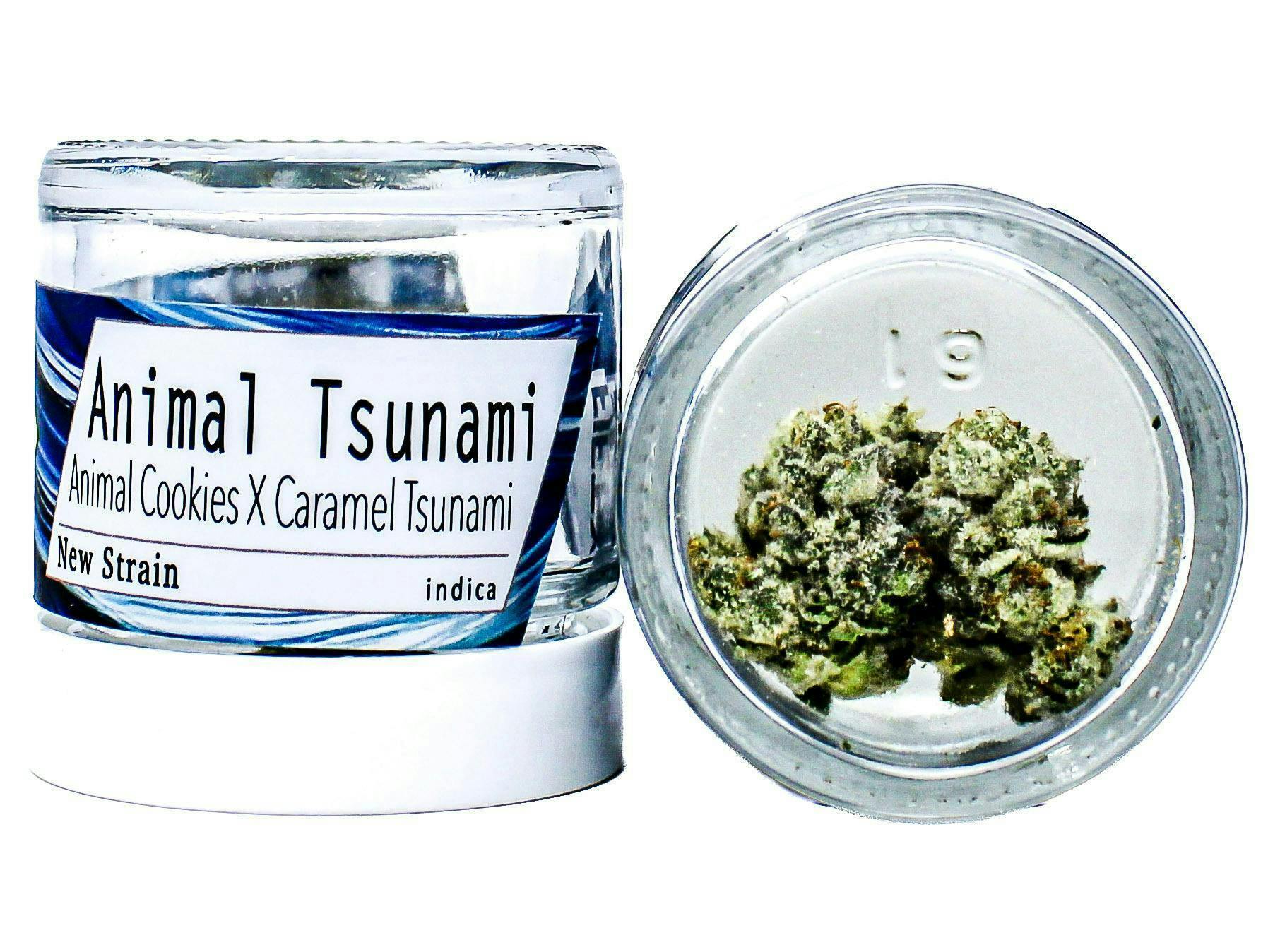 Animal Tsunami | Big Buds | 1g