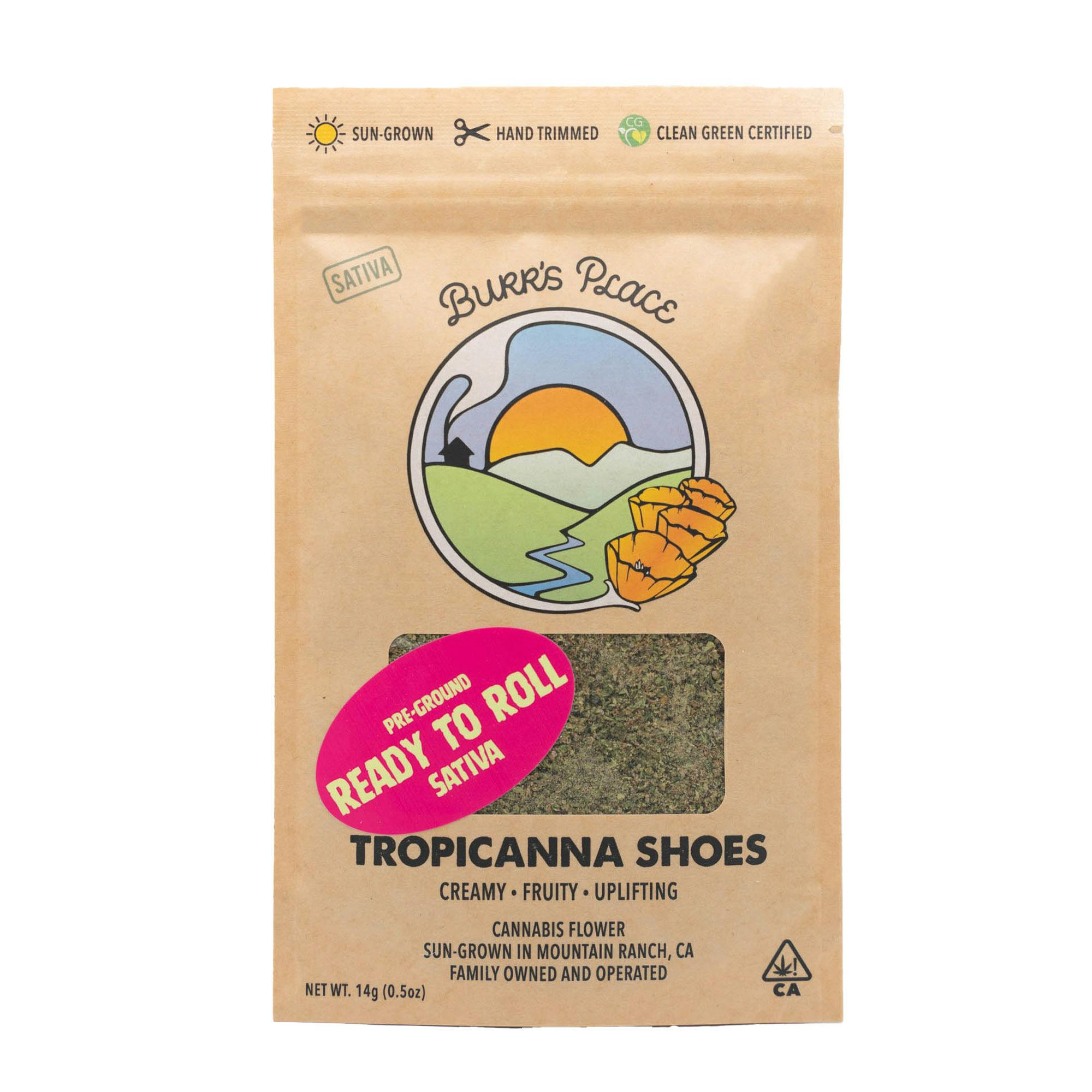 Burr's Place: Tropicanna Shoes
